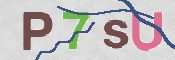 To prevent spam, please prove you are a real person by typing the characters you see in this box into the box below.