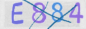 To prevent spam, please prove you are a real person by typing the characters you see in this box into the box below.