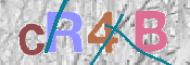 To prevent spam, please prove you are a real person by typing the characters you see in this box into the box below.