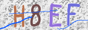 To prevent spam, please prove you are a real person by typing the characters you see in this box into the box below.