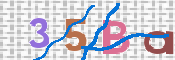 To prevent spam, please prove you are a real person by typing the characters you see in this box into the box below.