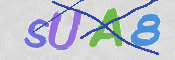 To prevent spam, please prove you are a real person by typing the characters you see in this box into the box below.