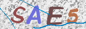 To prevent spam, please prove you are a real person by typing the characters you see in this box into the box below.