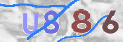 To prevent spam, please prove you are a real person by typing the characters you see in this box into the box below.