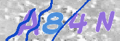 To prevent spam, please prove you are a real person by typing the characters you see in this box into the box below.