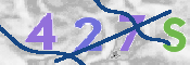 To prevent spam, please prove you are a real person by typing the characters you see in this box into the box below.
