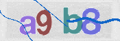 To prevent spam, please prove you are a real person by typing the characters you see in this box into the box below.