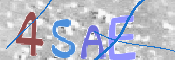 To prevent spam, please prove you are a real person by typing the characters you see in this box into the box below.