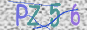 To prevent spam, please prove you are a real person by typing the characters you see in this box into the box below.