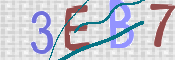 To prevent spam, please prove you are a real person by typing the characters you see in this box into the box below.