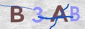 To prevent spam, please prove you are a real person by typing the characters you see in this box into the box below.