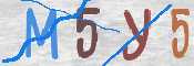 To prevent spam, please prove you are a real person by typing the characters you see in this box into the box below.