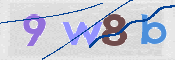 To prevent spam, please prove you are a real person by typing the characters you see in this box into the box below.