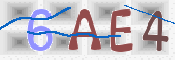 To prevent spam, please prove you are a real person by typing the characters you see in this box into the box below.
