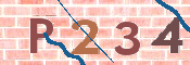To prevent spam, please prove you are a real person by typing the characters you see in this box into the box below.