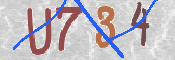 To prevent spam, please prove you are a real person by typing the characters you see in this box into the box below.