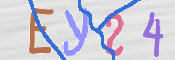To prevent spam, please prove you are a real person by typing the characters you see in this box into the box below.