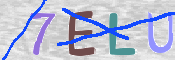 To prevent spam, please prove you are a real person by typing the characters you see in this box into the box below.