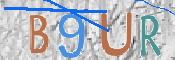 To prevent spam, please prove you are a real person by typing the characters you see in this box into the box below.