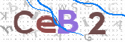 To prevent spam, please prove you are a real person by typing the characters you see in this box into the box below.
