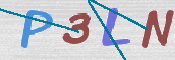 To prevent spam, please prove you are a real person by typing the characters you see in this box into the box below.