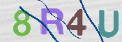 To prevent spam, please prove you are a real person by typing the characters you see in this box into the box below.