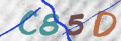 To prevent spam, please prove you are a real person by typing the characters you see in this box into the box below.