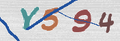 To prevent spam, please prove you are a real person by typing the characters you see in this box into the box below.