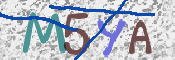 To prevent spam, please prove you are a real person by typing the characters you see in this box into the box below.
