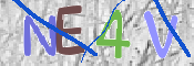 To prevent spam, please prove you are a real person by typing the characters you see in this box into the box below.