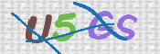 To prevent spam, please prove you are a real person by typing the characters you see in this box into the box below.