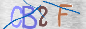 To prevent spam, please prove you are a real person by typing the characters you see in this box into the box below.