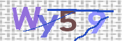 To prevent spam, please prove you are a real person by typing the characters you see in this box into the box below.