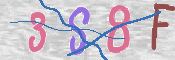 To prevent spam, please prove you are a real person by typing the characters you see in this box into the box below.