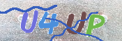 To prevent spam, please prove you are a real person by typing the characters you see in this box into the box below.