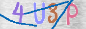 To prevent spam, please prove you are a real person by typing the characters you see in this box into the box below.