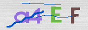 To prevent spam, please prove you are a real person by typing the characters you see in this box into the box below.