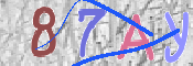 To prevent spam, please prove you are a real person by typing the characters you see in this box into the box below.