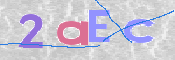 To prevent spam, please prove you are a real person by typing the characters you see in this box into the box below.