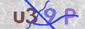 To prevent spam, please prove you are a real person by typing the characters you see in this box into the box below.