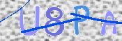 To prevent spam, please prove you are a real person by typing the characters you see in this box into the box below.