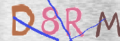 To prevent spam, please prove you are a real person by typing the characters you see in this box into the box below.