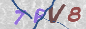To prevent spam, please prove you are a real person by typing the characters you see in this box into the box below.