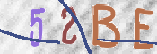 To prevent spam, please prove you are a real person by typing the characters you see in this box into the box below.