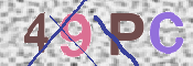 To prevent spam, please prove you are a real person by typing the characters you see in this box into the box below.