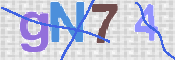 To prevent spam, please prove you are a real person by typing the characters you see in this box into the box below.