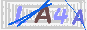 To prevent spam, please prove you are a real person by typing the characters you see in this box into the box below.
