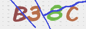 To prevent spam, please prove you are a real person by typing the characters you see in this box into the box below.