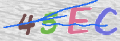To prevent spam, please prove you are a real person by typing the characters you see in this box into the box below.
