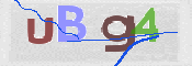 To prevent spam, please prove you are a real person by typing the characters you see in this box into the box below.